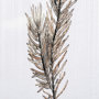 12642 - Unknown by Marie a Hand Embellished Textured Framed Art Print Matted under Glass