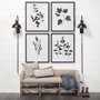 13068 - Botanical Study II by Julia Purinton a Hand Embellished Textured Framed Art Print Matted under Glass