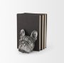 68925 - Bruno (Set of 2) 5L x 5W Silver American Bulldog Bookends