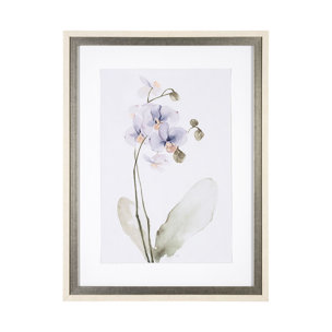 Orchid I by Gabrielle Campbell a Framed Art Print Matted under Glass