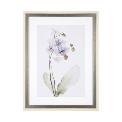 13518 - Orchid I by Gabrielle Campbell a Framed Art Print Matted under Glass