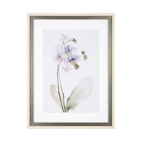 13518 - Orchid I by Gabrielle Campbell a Framed Art Print Matted under Glass