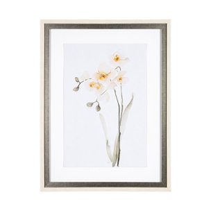 Orchid II by Gabrielle Campbell a Framed Art Print Matted under Glass