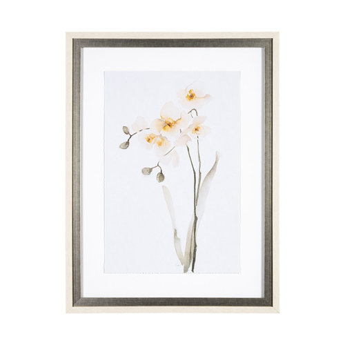 13519 - Orchid II by Gabrielle Campbell a Framed Art Print Matted under Glass