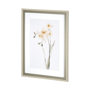 13519 - Orchid II by Gabrielle Campbell a Framed Art Print Matted under Glass