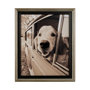 13522 - Where you go by Jim Drafield a Hand Embelished Textured Framed Photo Art Print