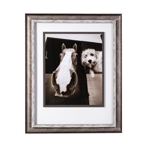 Hanging Out by Jim Drafield a Framed Photo Art Print Matted under Glass