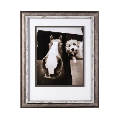 13541 - Hanging Out by Jim Drafield a Framed Photo Art Print Matted under Glass