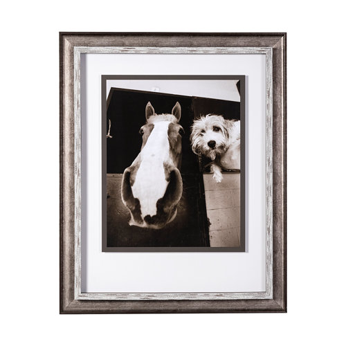 13541 - Hanging Out by Jim Drafield a Framed Photo Art Print Matted under Glass