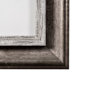 13541 - Hanging Out by Jim Drafield a Framed Photo Art Print Matted under Glass