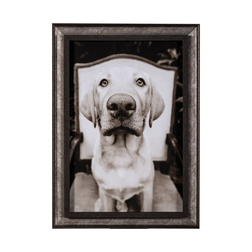 13542 - Sitting by Jim Drafield a Hand Embellished Textured Framed Photo Art Print