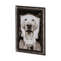13542 - Sitting by Jim Drafield a Hand Embellished Textured Framed Photo Art Print