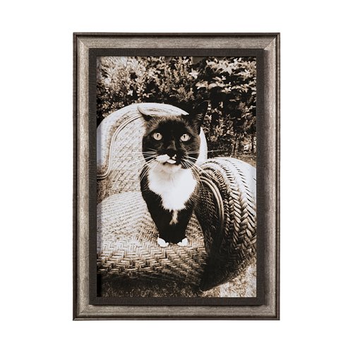 13545 - Kitty I by Jim Drafield a Framed Photo Art Print