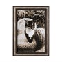 13545 - Kitty I by Jim Drafield a Framed Photo Art Print