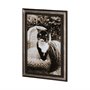 13545 - Kitty I by Jim Drafield a Framed Photo Art Print