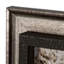 13545 - Kitty I by Jim Drafield a Framed Photo Art Print