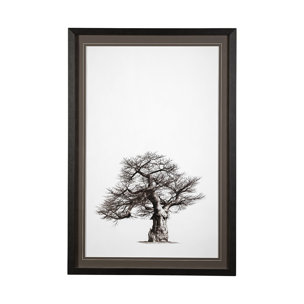Boabab Tree I by Tiedge a Framed Art Print Matted under Glass