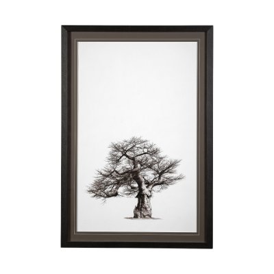 13555 - Boabab Tree I by Tiedge a Framed Art Print Matted under Glass