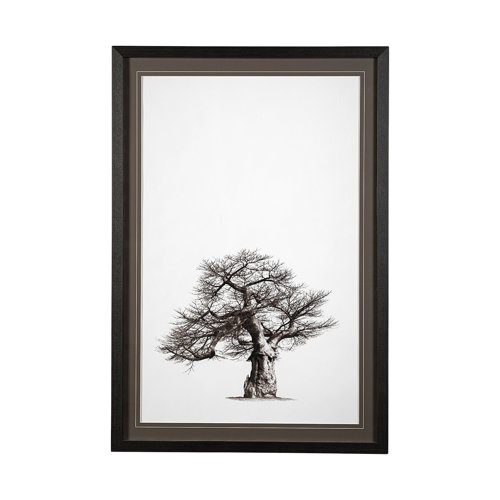 13555 - Boabab Tree I by Tiedge a Framed Art Print Matted under Glass