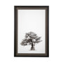 13555 - Boabab Tree I by Tiedge a Framed Art Print Matted under Glass