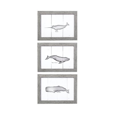 13561 - Narwhal by Mercana Studio a Hand Embellished Textured Framed Art Print