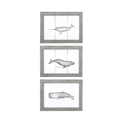13561 - Narwhal by Mercana Studio a Hand Embellished Textured Framed Art Print