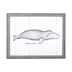 Bowhead Whale by Mercana Studio a Hand Embellished Textured Framed Art Print