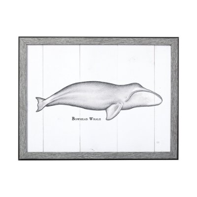 13562 - Bowhead Whale by Mercana Studio a Hand Embellished Textured Framed Art Print