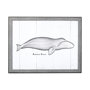 13562 - Bowhead Whale by Mercana Studio a Hand Embellished Textured Framed Art Print