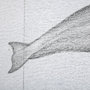 13562 - Bowhead Whale by Mercana Studio a Hand Embellished Textured Framed Art Print