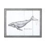 13563 - Humpback Whale by Mercana Studio a Hand Embellished Textured Framed Art Print