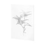 101823-L - Arrangement IV by Hiraki a Hand Embellished Textured Canvas