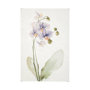 101853-L - Orchid I by Gabrielle Campbell a Hand Embellished Textured Canvas