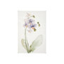 101853-S - Orchid I by Gabrielle Campbell a Hand Embellished Textured Canvas