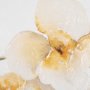 101854-L - Orchid II by Gabrielle Campbell a Hand Embellished Textured Canvas
