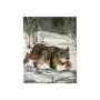 101861-S - Life in North I by Melody Ducharme a Hand Embellished Textured Canvas