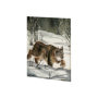 101861-S - Life in North I by Melody Ducharme a Hand Embellished Textured Canvas