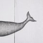 101865-L - Narwhal by Mercana Studio a Hand Embellished Textured Canvas