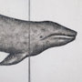 101866-L - Gray Whale by Mercana Studio a Hand Embellished Textured Canvas