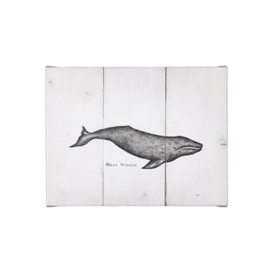 Gray Whale by Mercana Studio a Hand Embellished Textured Canvas