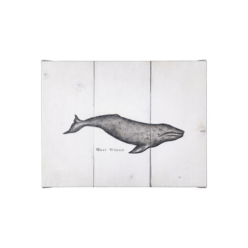 101866-S - Gray Whale by Mercana Studio a Hand Embellished Textured Canvas