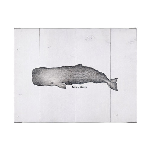 101867-L - Sperm Whale by Mercana Studio a Hand Embellished Textured Canvas