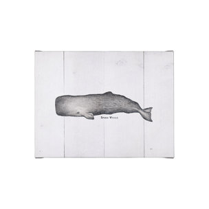 Sperm Whale by Mercana Studio a Hand Embellished Textured Canvas