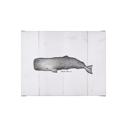 101867-S - Sperm Whale by Mercana Studio a Hand Embellished Textured Canvas