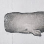 101867-S - Sperm Whale by Mercana Studio a Hand Embellished Textured Canvas
