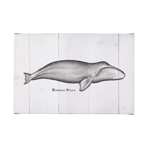 Bowhead Whale by Mercana Studio a Hand Embellished Textured Canvas