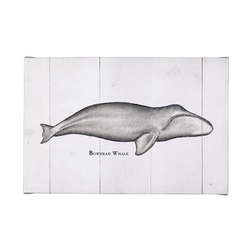 101868-L - Bowhead Whale by Mercana Studio a Hand Embellished Textured Canvas