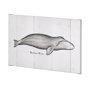 101868-L - Bowhead Whale by Mercana Studio a Hand Embellished Textured Canvas