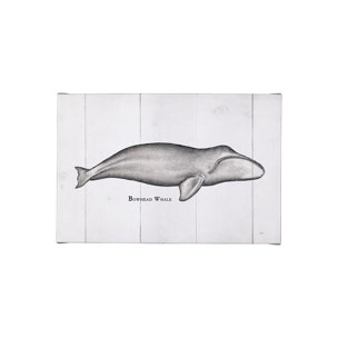 Bowhead Whale by Mercana Studio a Hand Embellished Textured Canvas
