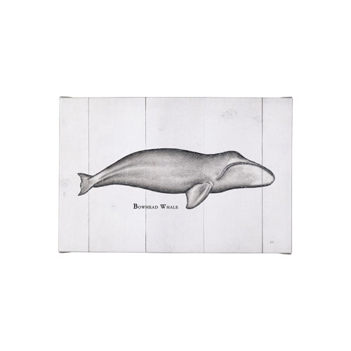 101868-S - Bowhead Whale by Mercana Studio a Hand Embellished Textured Canvas